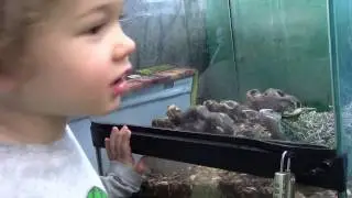 Snails and Tails Pet Store