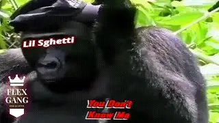 Lil Sghetti - 