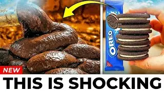 Don't Buy 8 UK Biscuit Brands Until You Watch This
