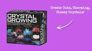 Crystal Growing Kit Large