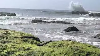 UCSB campus point surf