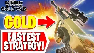 Best AUG Class Setup - Fastest Strategy for GOLD - Cold War (Road to Dark Matter)