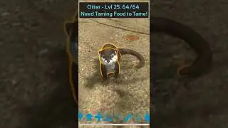 How NOT to Tame an Otter #arksurvivalevolved #ark #dinosaur #arksurvival #gaming #arkmobile #shorts