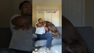 Всё ещё думаете завести вторую собаку? Посмотрите это&hellip; 😅 #reels#shortvideos#funny#pets#suaveXavier
