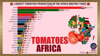 BIGGEST TOMATOES PRODUCERS IN THE AFRICA