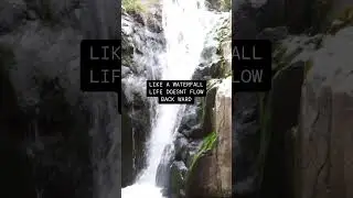 Capturing this beautiful waterfall hidden in portugal #travel #explore #wanderlust