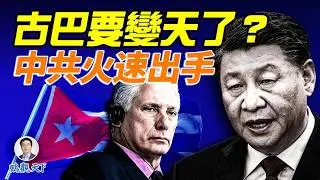 年底推翻古巴！美國秘密計畫曝光；唇亡齒寒，中共緊急援助3萬噸大米#鵬觀天下