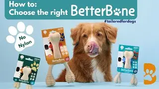 How to choose the right BetterBone for your dog! A tailored chewing experience perfect for your dog