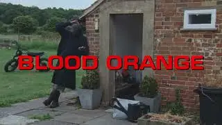 Blood Orange - The Field (Trailer)