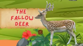 Fallow Deer: Can They Thrive With Us?