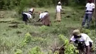 HCR Sustainable Relocation Tree Planting 2014 - Kenya