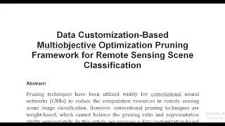 Data Customization Based Multiobjective Optimization Pruning Framework for Remote Sensing Scene Clas