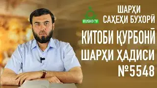 ҚУРБОНИИ МУСОФИР ВА ЗАНҲО ||ШАРҲИ ҲАДИСИ №5548