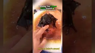 Рейтинг 8 самых милых звуков лягушек!