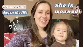 PREGNANT AND DONE NURSING! HOMESCHOOL MOM OF THREE DAY IN THE LIFE | 29 Weeks Pregnant