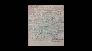|| PHYSICS FORMULAS || CLASS 11 AND CLASS 12 || MSB CREATION ||