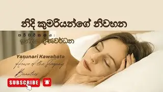 නිදි කුමරියන්ගේ නිවහන | Sinhala Audiobook | පරිවර්තනය:ඉන්දික ගුණවර්ධන  | Chapter - 02