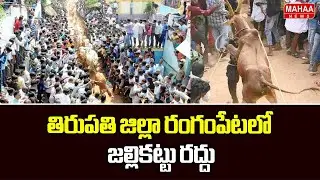తిరుపతి జిల్లా రంగంపేటలో జల్లికట్టు రద్దు | High Tension on Jallikattu At Tirupati | Mahaa News