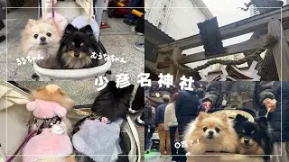 初詣に行ってきました