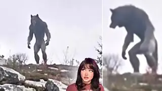 Undeniably CREEPY Evidence of CRYPTIDS Caught on Camera 2026
