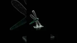 Libelle - Monika Rubaniuk | Galerie Sous-Terre | Kunst | Sculptuur | Glaswerk | Insect