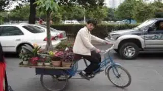 XtraCycle, Cargo, Utility, SUB, Chopper bikes & trikes