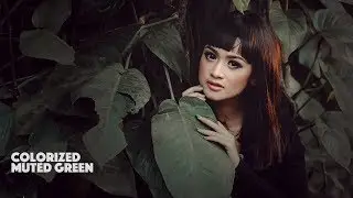 Colorized Mood Photoshop Tutorial Cinematic Color Grading Muted Green