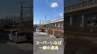 #キハ187系、#スーパーいなば、#通常2両編成、#1両当たり900馬力、#振り子付き、#気動車、#JR西日本、#山陽本線、#120キロ？、#迫力満点、#鉄道、#通過 #一瞬 #出来事