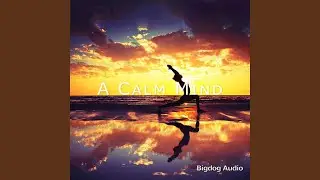 A Calm Mind, Pt. 2