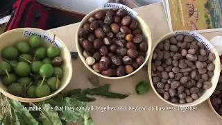 Global shea alliance