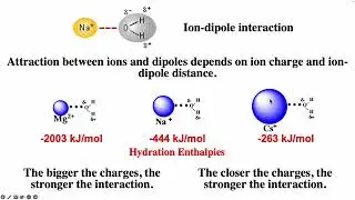 Ion-Ion and Ion-Dipole Interactions