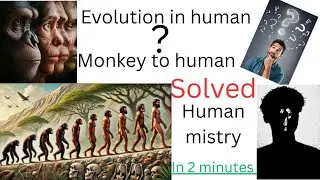 Human evolution human mystery monkey to human solved in 2 minute