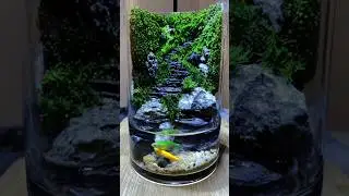 Use an idle glass to transform it. !Do you like nature in a bottle like this?#shortsvideo