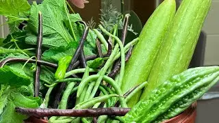 Kitchen Garden in the US #gradlife #kitchengarden #gogreen  #organic #selfsustainable