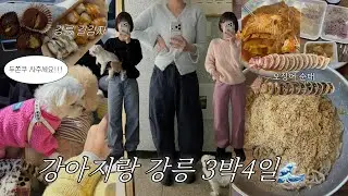 혼자 KTX타고 강릉여행vlog🚅🐶ㅣ속초양양정동진ㅣ맛집정보ㅣ두쫀쿠 투어ㅣ길감자ㅣ들깨막국수ㅣ중앙시장ㅣ오징어순대 등등
