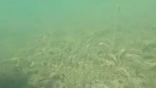 Two Jack Lake - Underwater