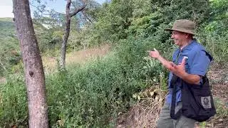 Deje Toda Mi Juventud En El Cerro De Guazapa Sur 