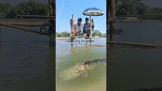 Wow Amazing‼️One pull Strike monster catfish #fishing #shorts #amazing