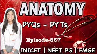 Anatomy PYQs | High Difficulty Clinical Anatomy Questions for NEET PG / INICET / FMGE | Doc. Swati 
