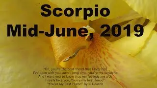 Scorpio JUNE 2019 YOU WILL GET THROUGH THIS! Mid-Month Tarot