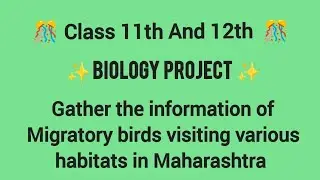 Biology Project Gather the information of Migratory birds visiting various habitats in Maharashtra ✨