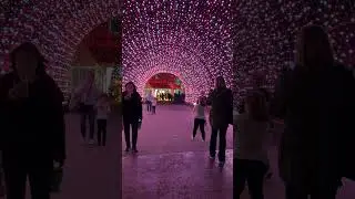 Christmas Light at Kentucky Kingdom.