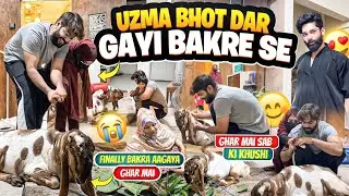 Uzma Bhot Dar Gayi Bakre Se😰Finally Bakra Aagaya Ghar Mai🥹Ghar Wale Khush😍Aman&rsquo;s Family