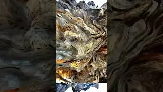 MIKE IV crafts dynamic generative visuals, blending motion, rhythm and cinematic precision live 🌀