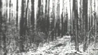 Evan Albam - Begotten Theme