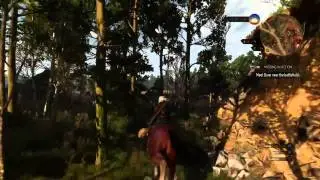 The Witcher 3 Wild Hunt Undiscovered location white orchard