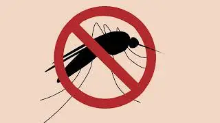 Japanese Encephalitis - What to do to prevent JE