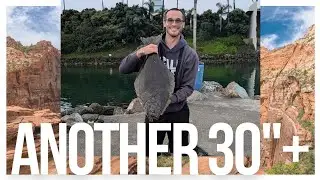 30