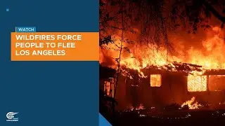 Wildfires force people to flee Los Angeles