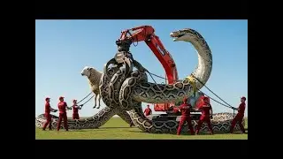 The Shepherd&rsquo;s Mistake: Waking a TITAN Snake & Calling 911? 📱